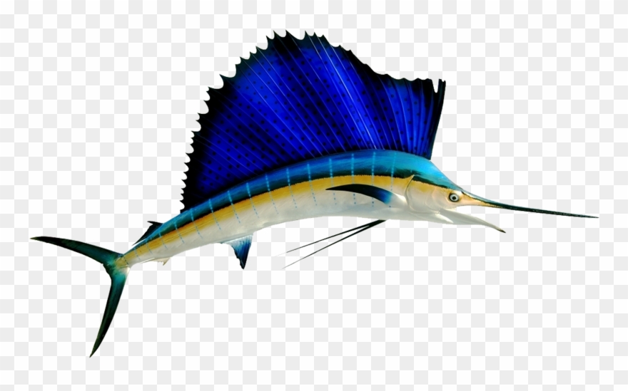 Sailfish-01 - Colorful Sailfish Clipart