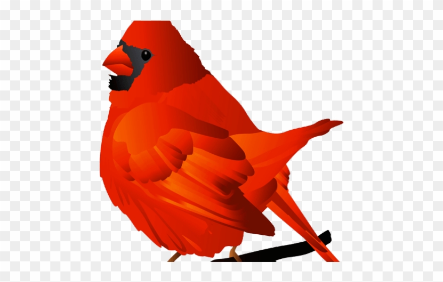 Cardinal Clipart Transparent - Clip Art - Png Download
