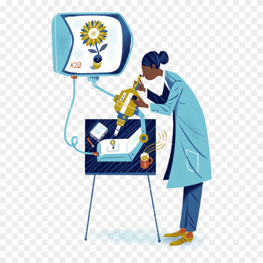 Used In Place Of Patents, Plant Variety Rights Offer - Illustration Clipart