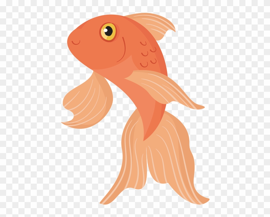 Sigue Nadando Golden Carp Sticker By Nazaret Escobedo - Sticker De Peces Gif Clipart