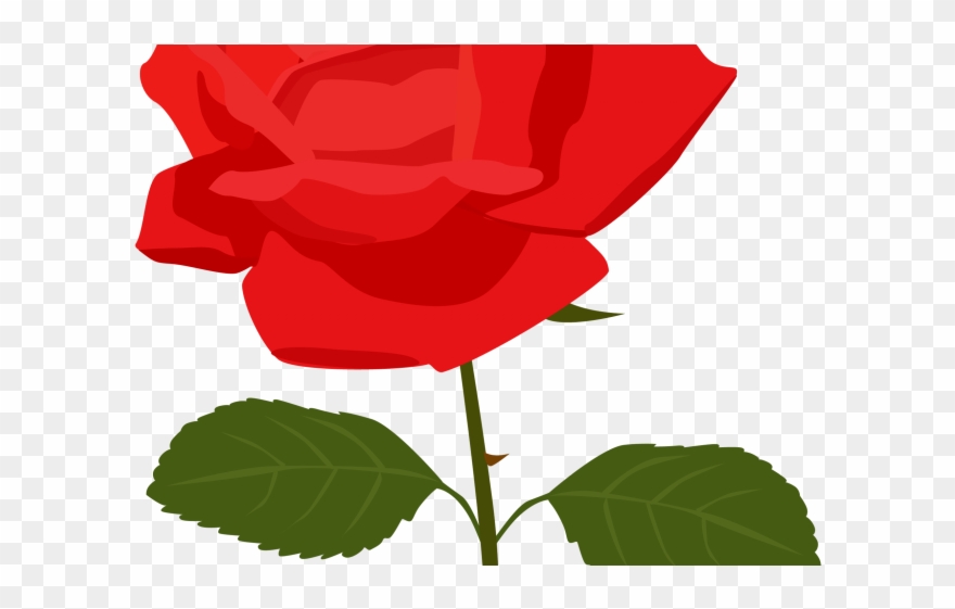 Yellow Rose Clipart Red Rose Outline - Transparent Background Rose Clipart - Png Download