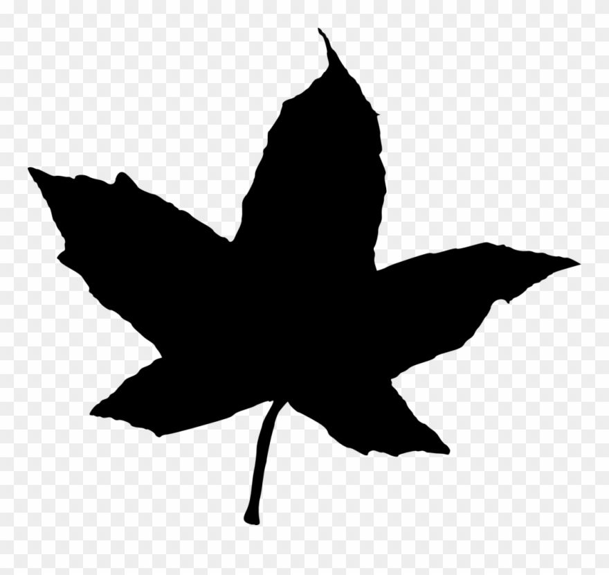 Similiar Leaf Silhouette Transparent Background Keywords - Rock Fish Svg Clipart