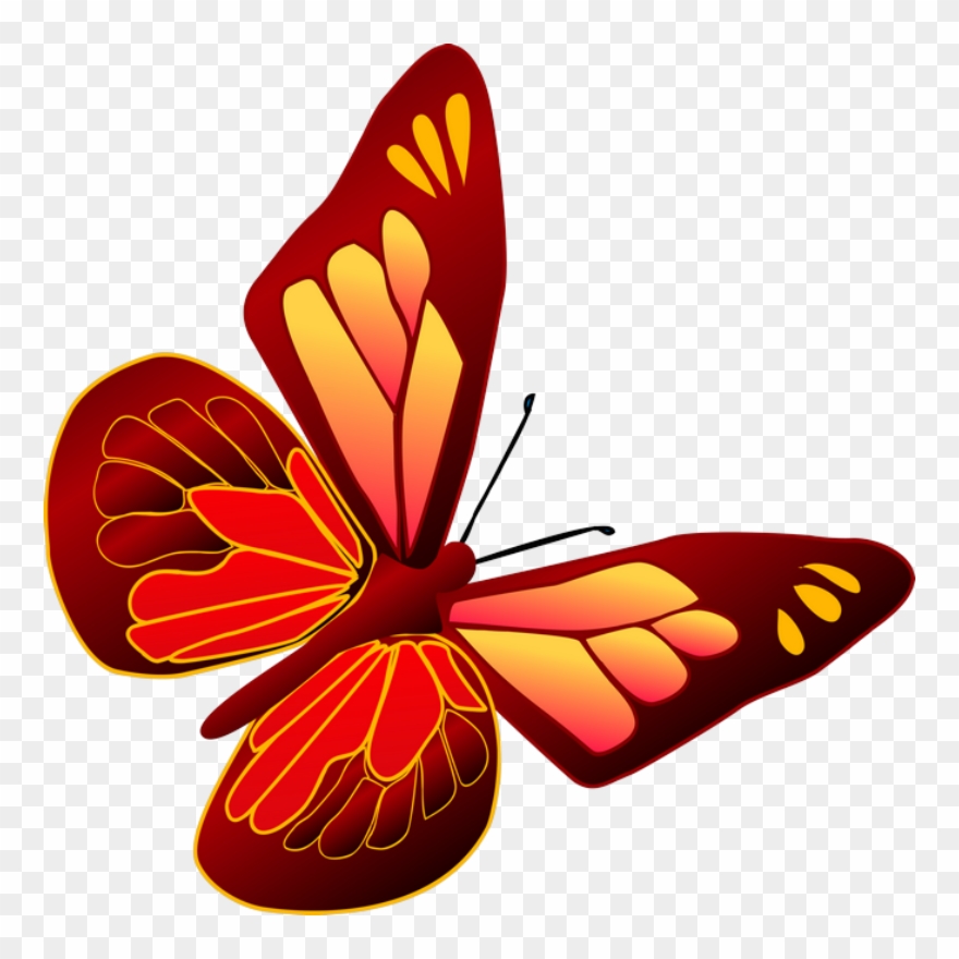‿✿⁀butterflies‿✿⁀ - Бабочки На Прозрачном Фоне Для Фотошопа Clipart