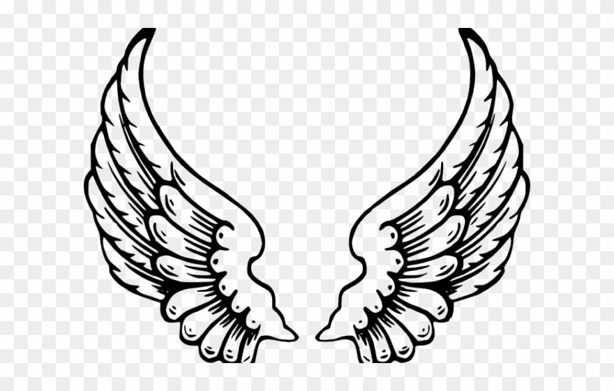 Wings Clipart Angel Wing - Png Download
