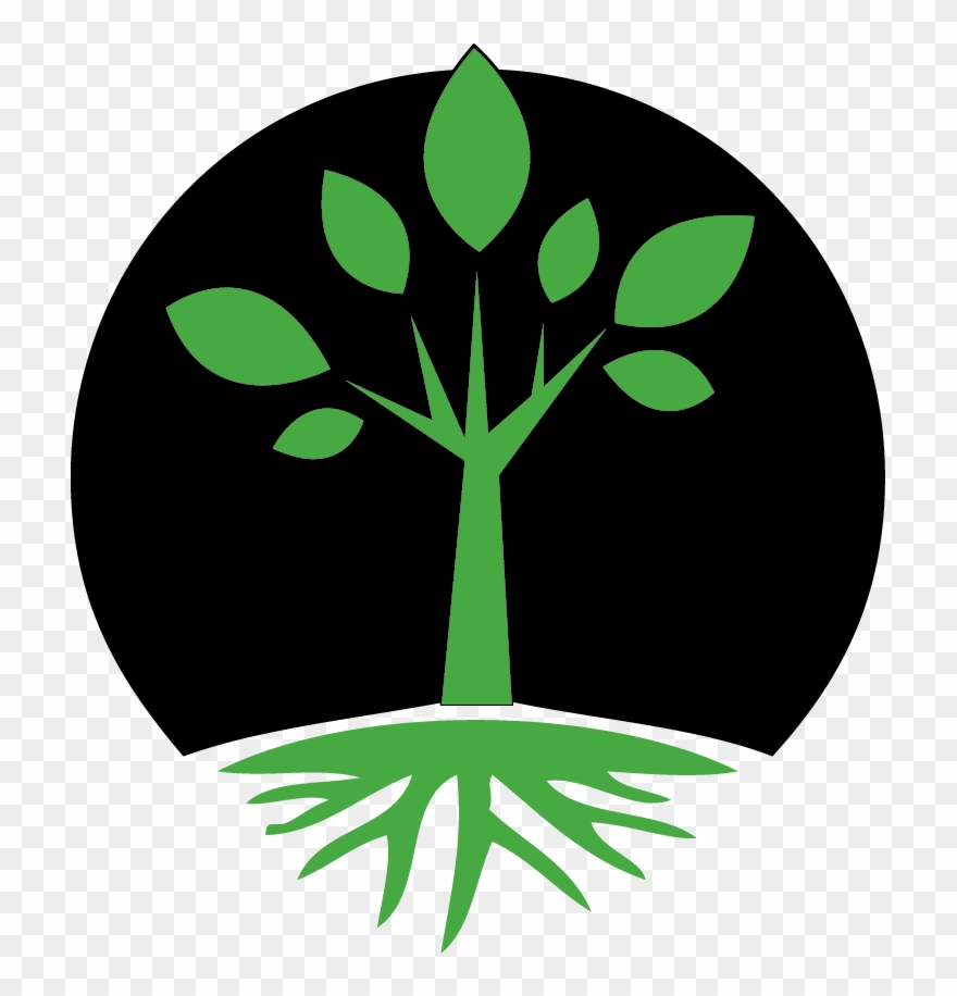 11-16 So Christ Himself Gave The Apostles, The Prophets, - Jesus Clipart