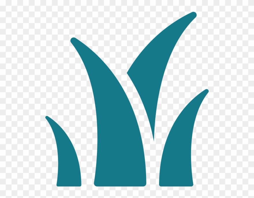 Austin Pollen Forecast Clipart