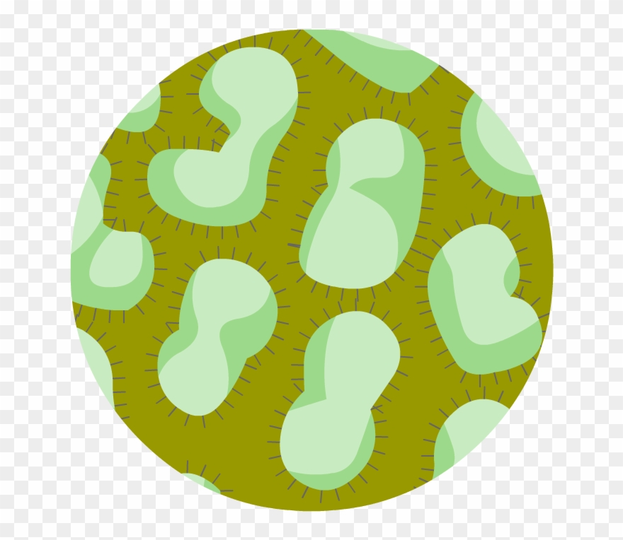 Avian Flu - Illustration Clipart