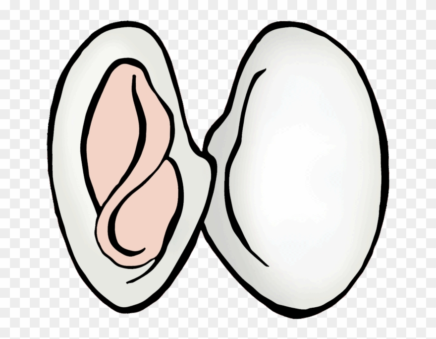 Picture - Line Art Clipart
