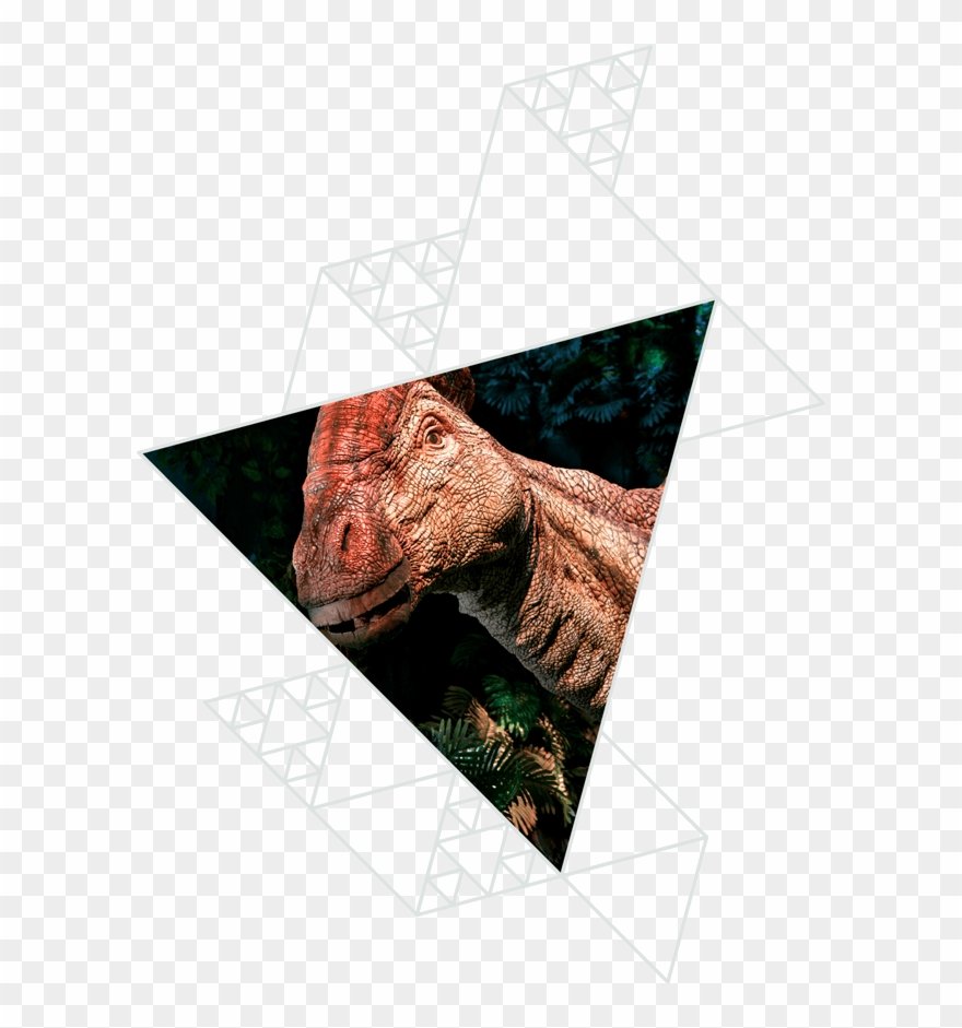 The Exhibition Clipart