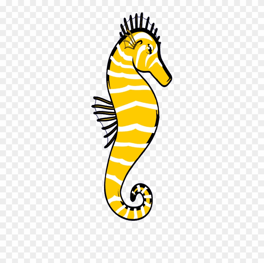 The "abyss" - Northern Seahorse Clipart