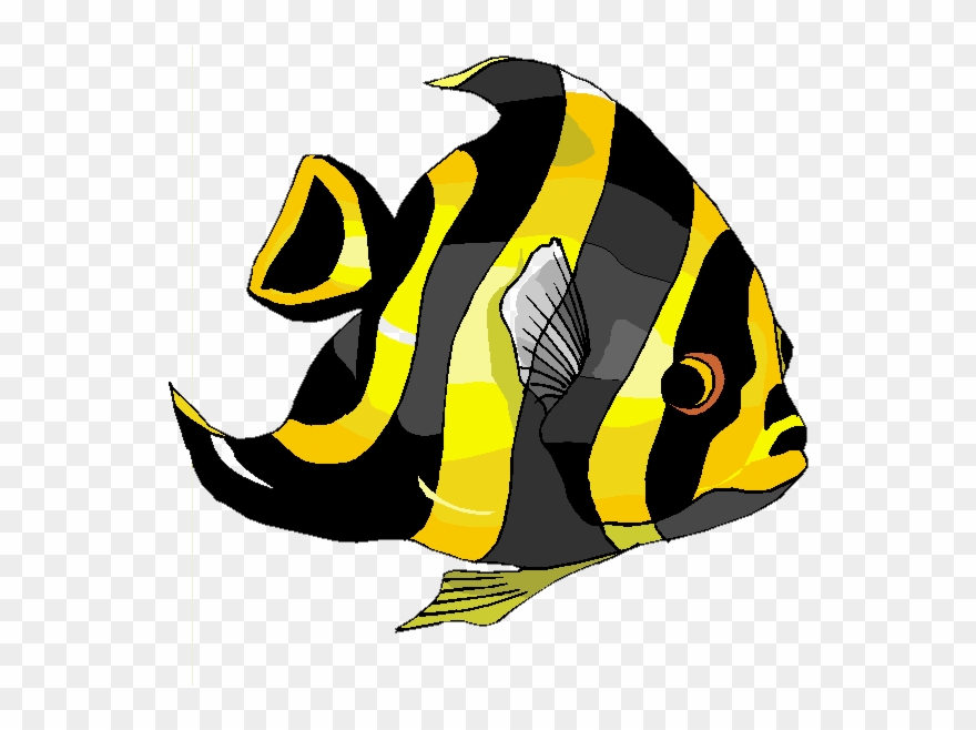 You Might Also Like - Cartoon Fish Clipart
