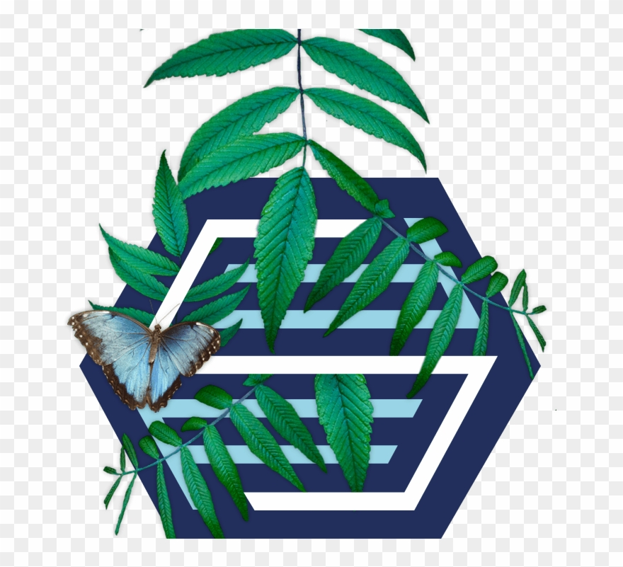 Finance For Sustainability - オリオン 40v型 フルハイビジョン液晶テレビ 外付けhdd録画対応 裏番組録画 ブルーライトガード搭載 Clipart