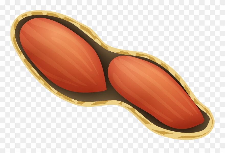 Clipart Peanut Png Transparent Png