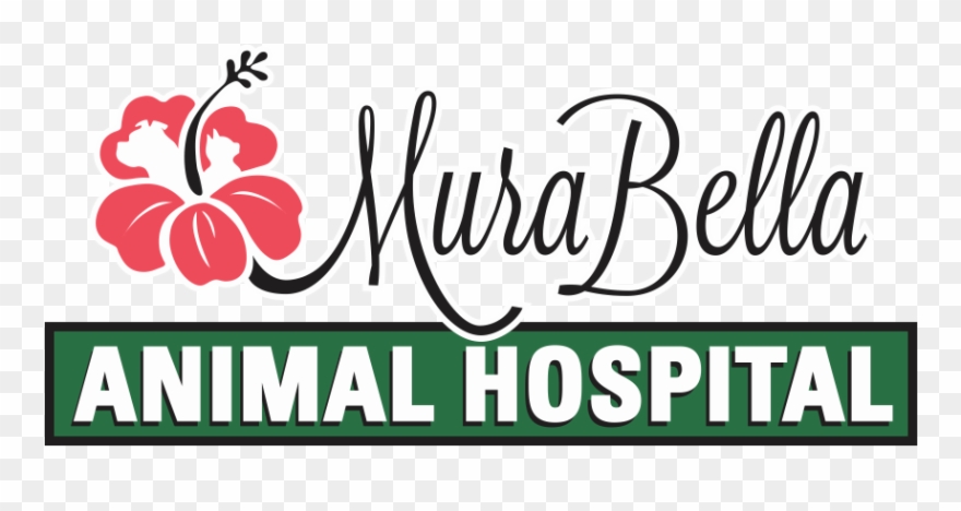 Dr Authur Browning - Murabella Animal Hospital Clipart
