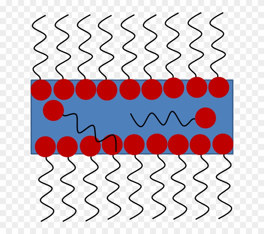 Portable Network Graphics Clipart