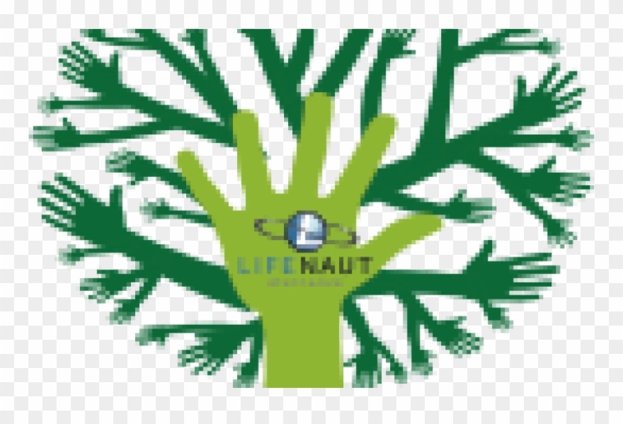 Lifenaut Life Saver Volunteer Logo - Project Avary Logo Clipart