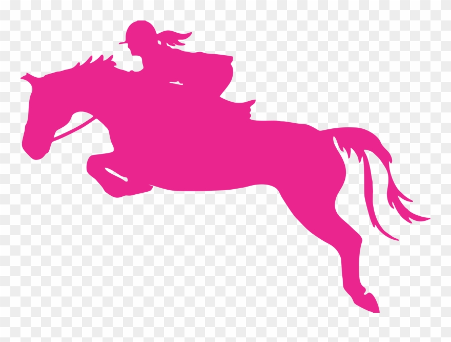 Hunter Jumper Vinyl Decal - Jumper Horse Decal Clipart