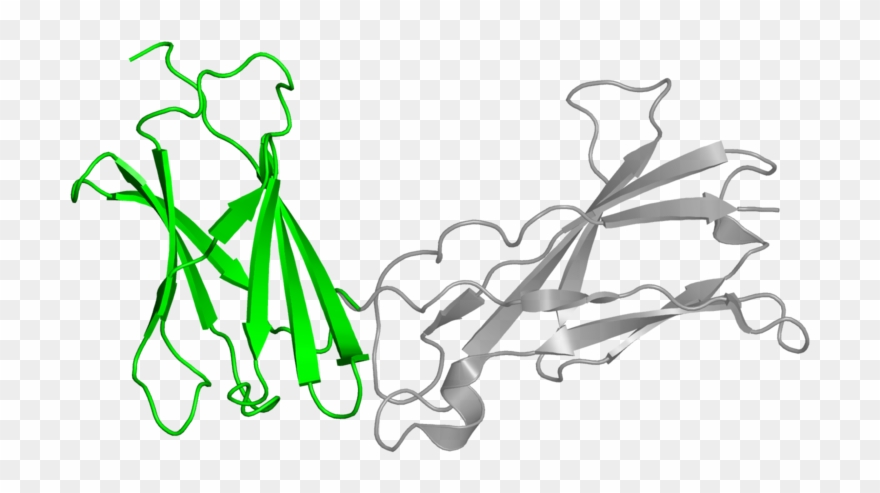 <div Class='caption-body'>1 Copy Of Cath Domain Clipart