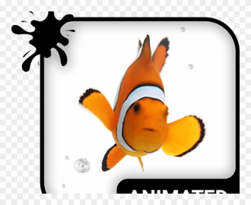 Teclado Animado Peixe Palhaço Android - Animated Pretty Cat Or Kitten Clipart