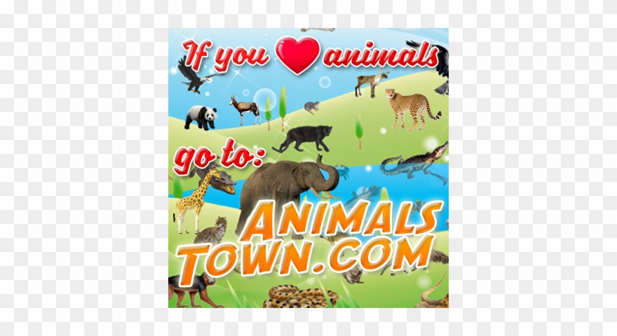 Recent Collection - Reef Shark Coloring Page Clipart