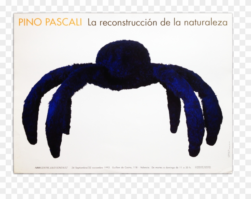 La Reconstrucción De La Naturaleza - Chesapeake Blue Crab Clipart
