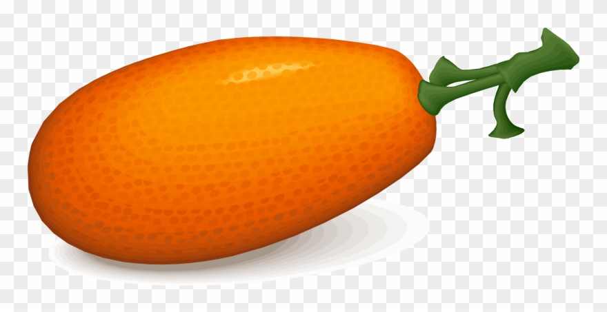 Big Image - Kumquat Clipart - Png Download