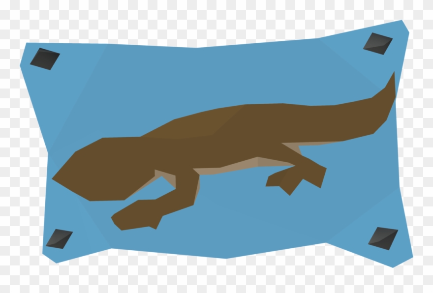 Newt Label Detail - Lizard Clipart