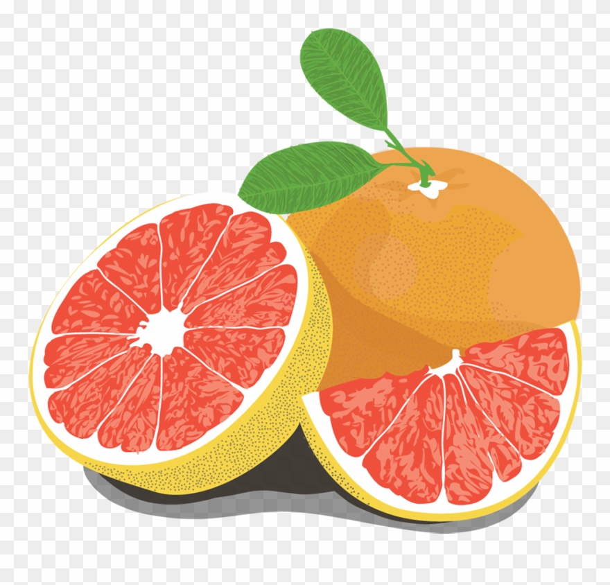 Banner Transparent Stock Illustration Mellobets Grapefruitpng - Pomelo Clipart