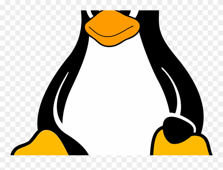 Blakely North Live Stream Clipart