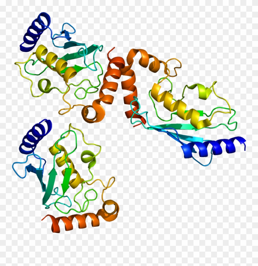 Clusterin Protein Clipart