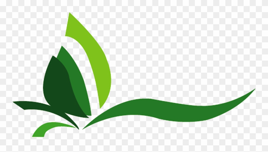 Plants Clipart Halaman - Png Download