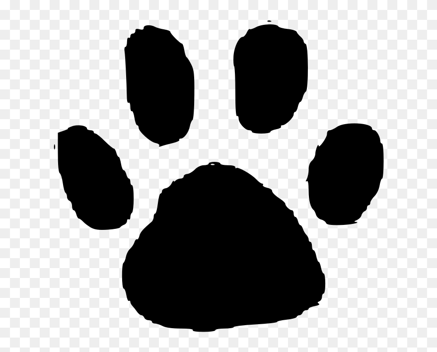 Clip Art Orange Paw Print - Png Download