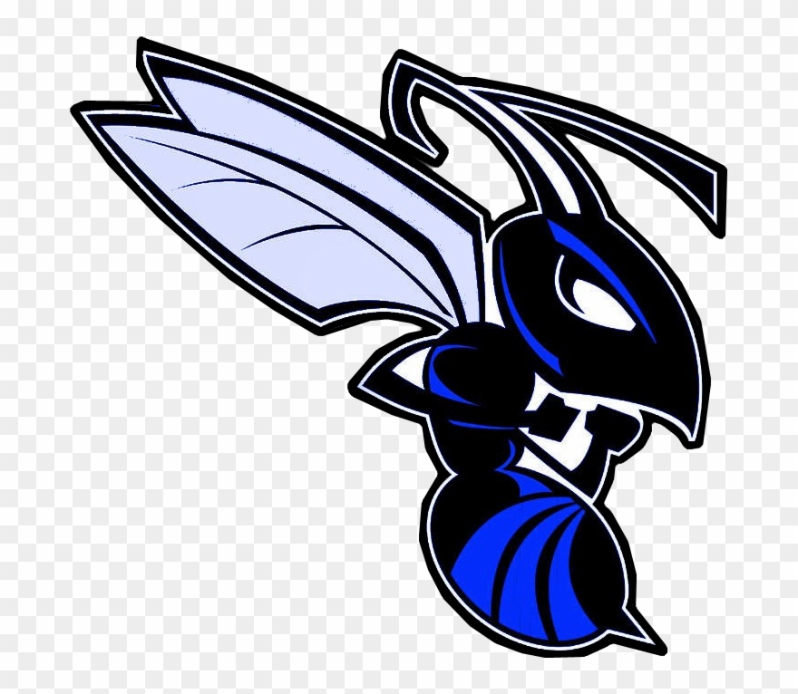 Thank You For The Phelps Hornet Shout Out - Blake High School In Tampa Mascot Clipart