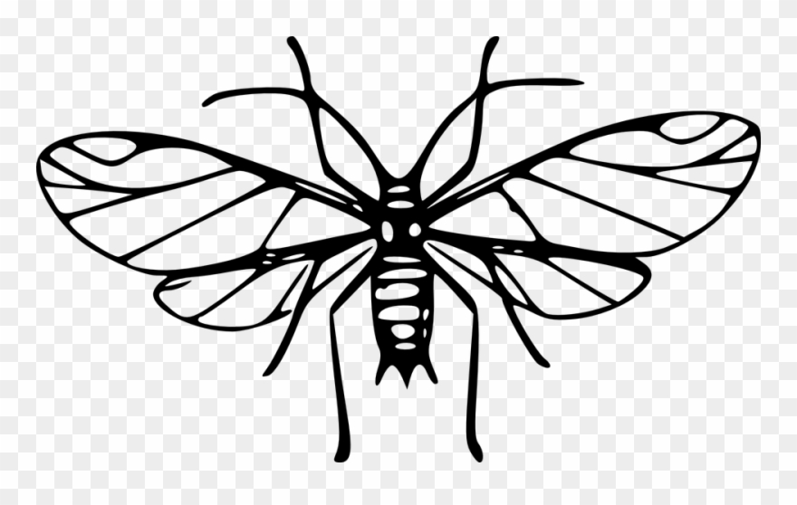 Mosquito Art Clip - Png Download