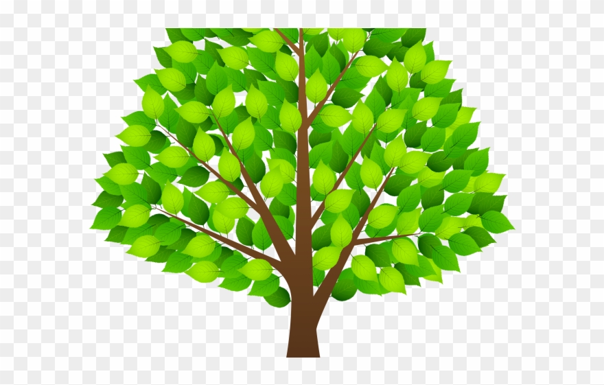 Tree Clipart Clear Background - Portable Network Graphics - Png Download