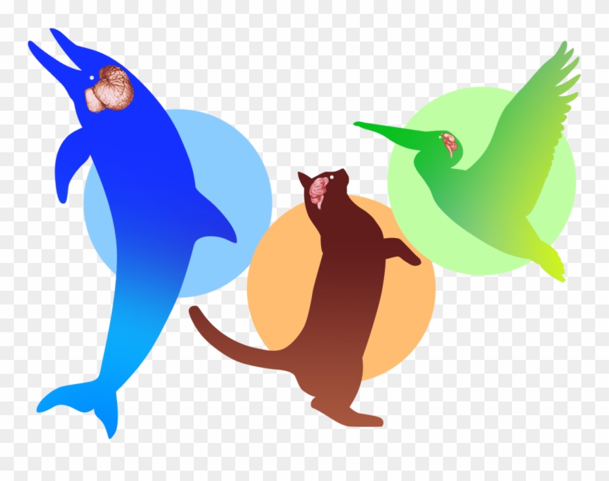 Award-winning Brain Games & Education - Illustration Clipart