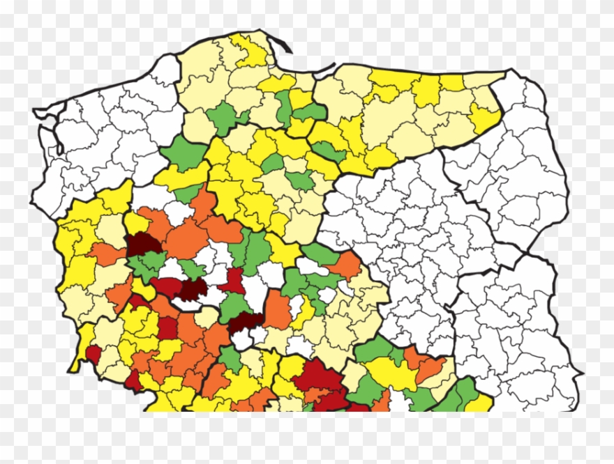 The Results Of The Examination Of Wild Boars For Anti-brucella - Brucella Clipart