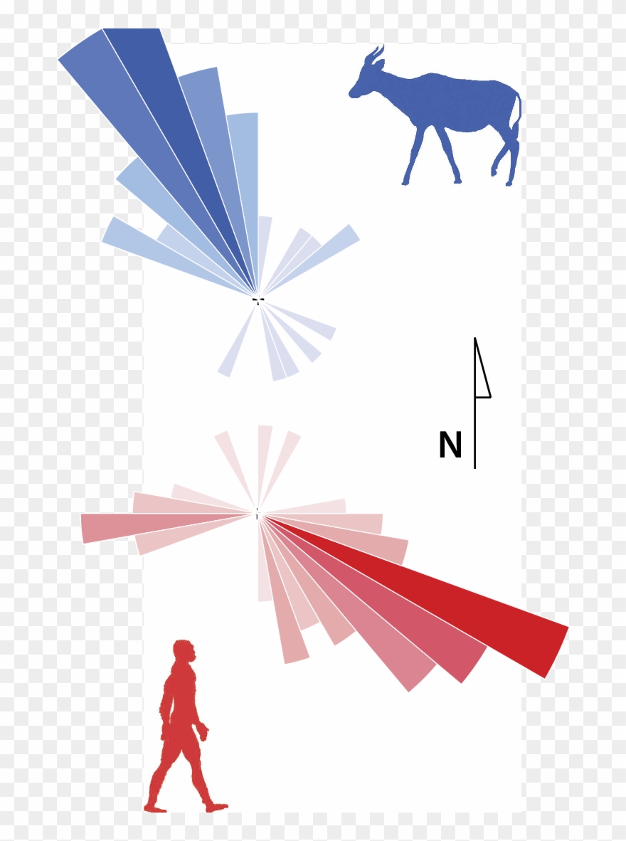 Directional Movement Patterns From Tracks Excavated - Blue Clipart