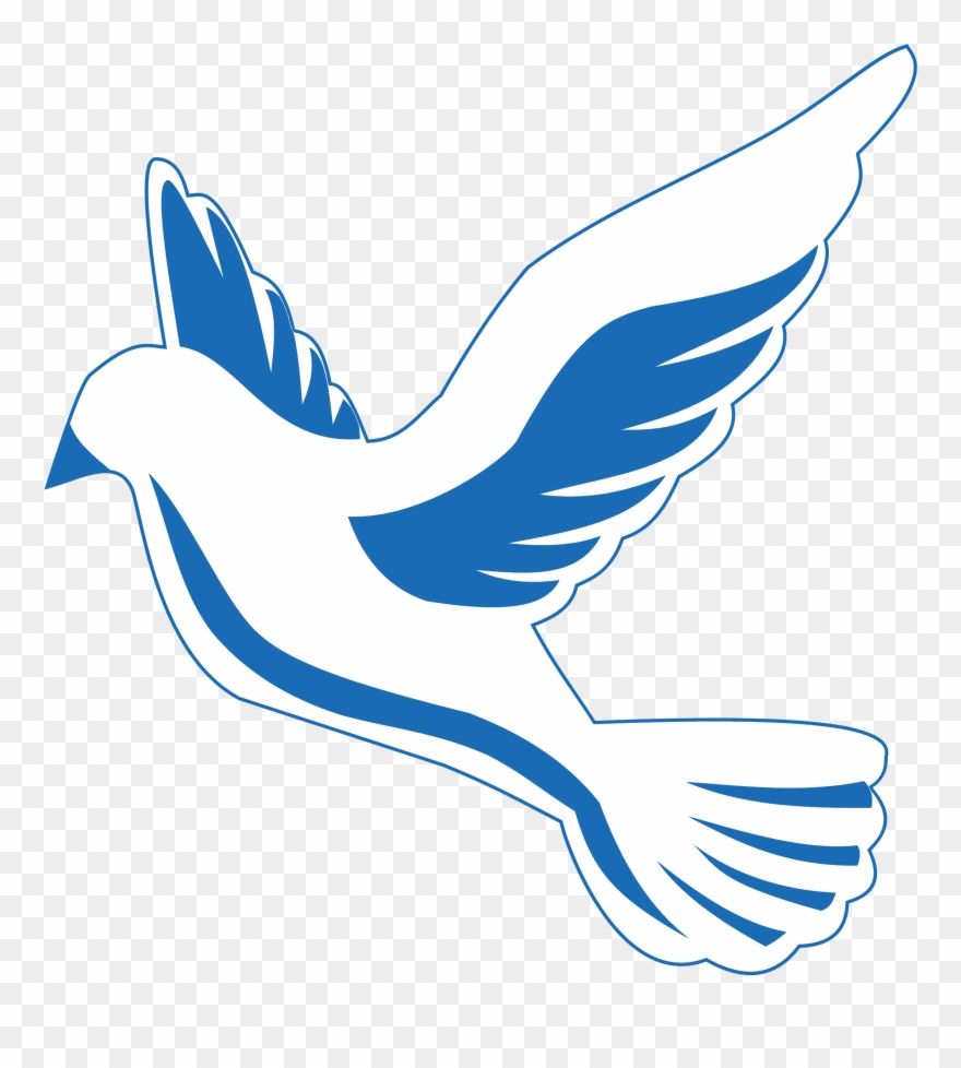 Wordpress Logo Clipart Dove - Logo - Png Download