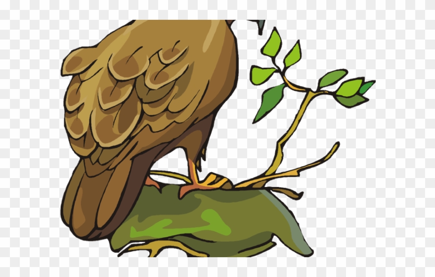Prairie Falcon Clipart Mouth - Bird - Png Download