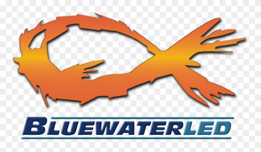 T-h Marine Acquires Blue Water Led Enterprises - Bluewater Led Clipart