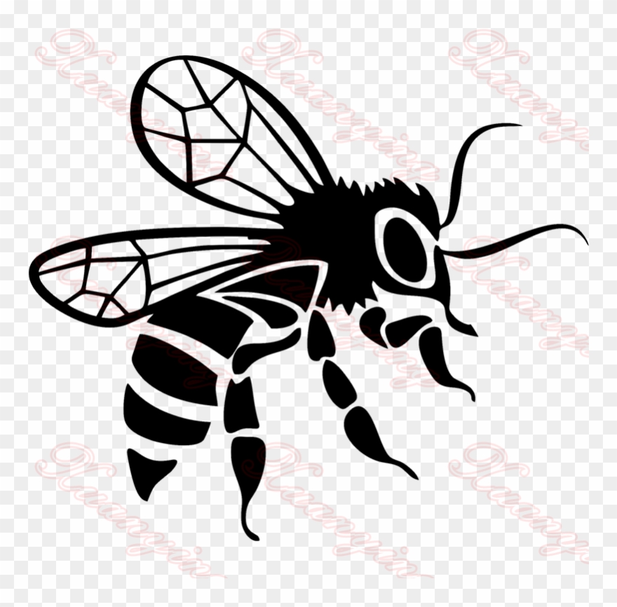 Product Description - Пчела Рисунок Clipart