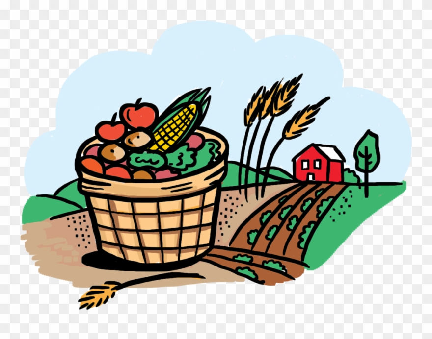 Food Agriculture - Agriculture Png Clipart