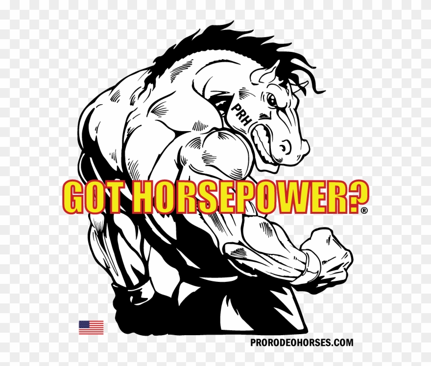 Page Views - - Horse Flexing Clipart