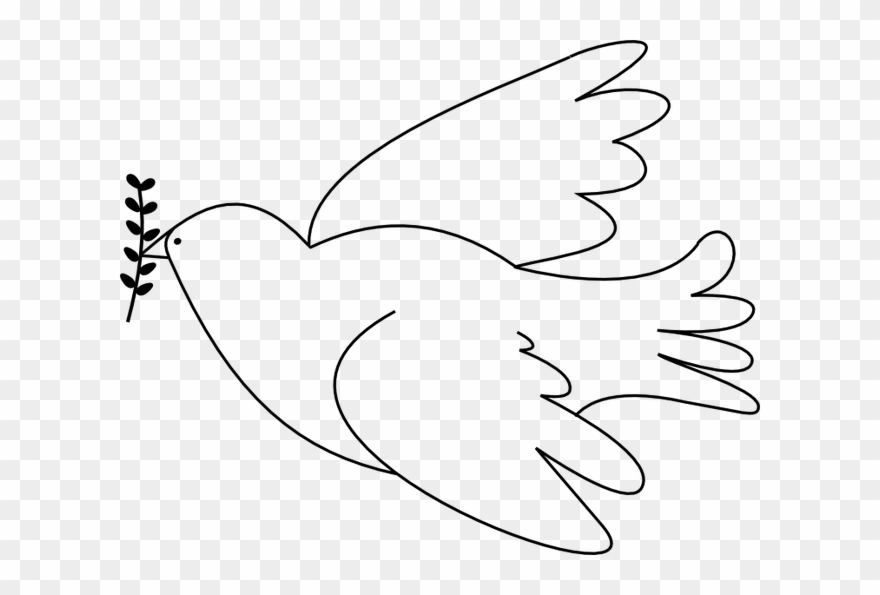 Paloma Paz Dibujo Png Clipart