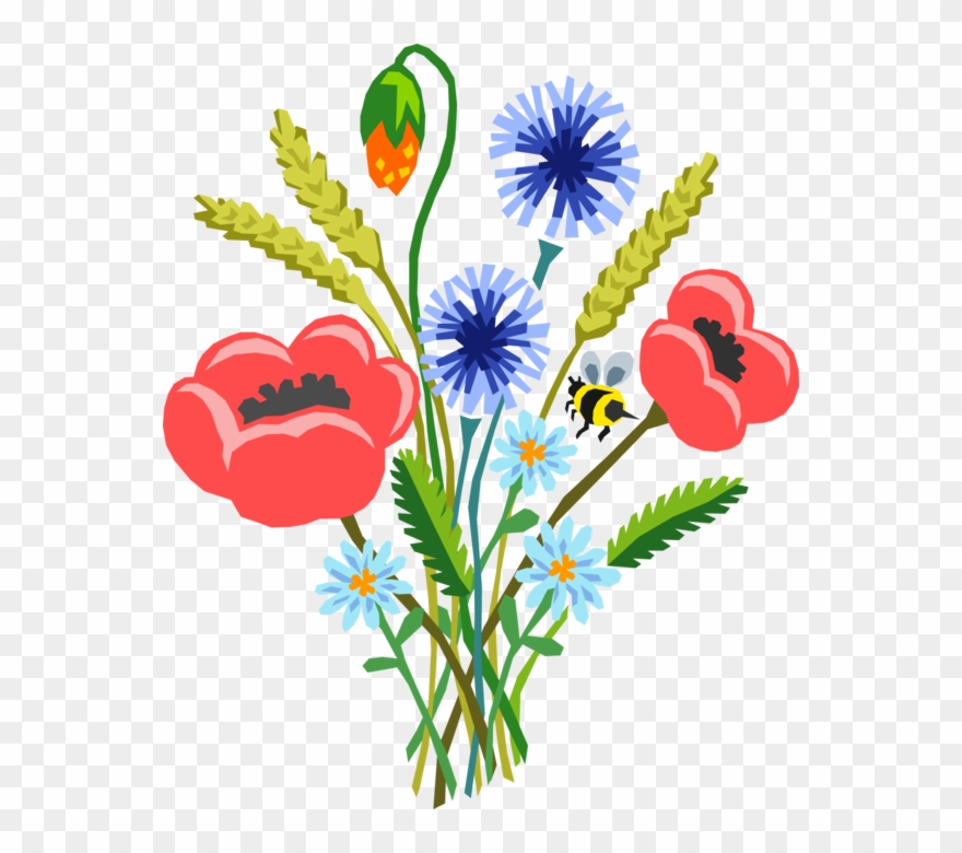 Poppies Vector Real - Specification Clipart