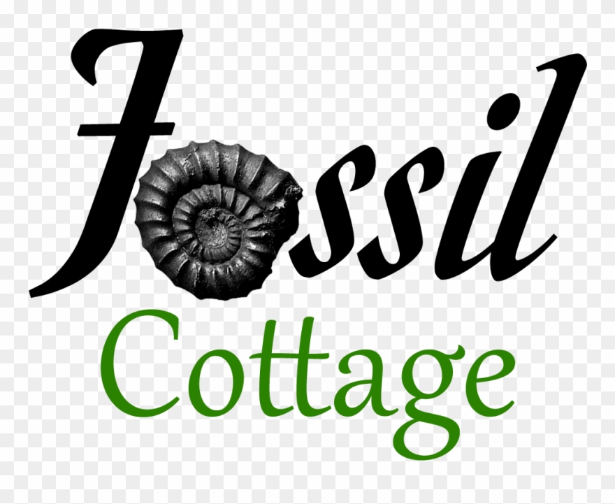 Fossil Cottage Fossil Cottage - Mr. Right Queen Duvet Clipart