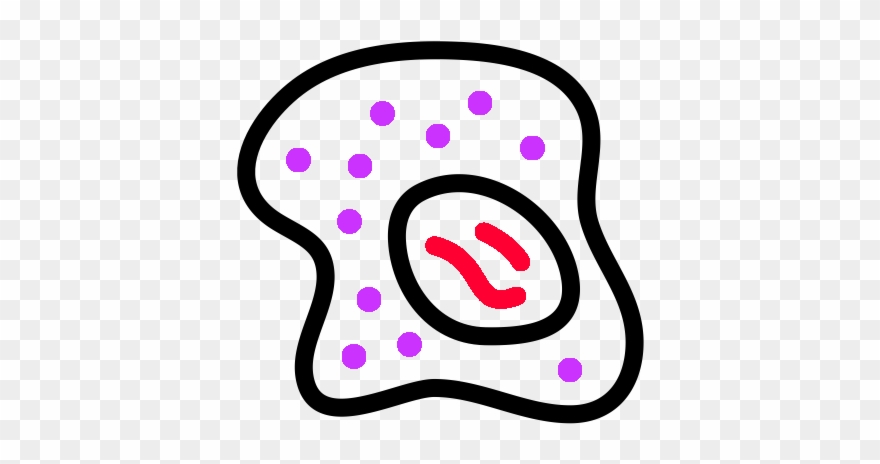Biology Clipart