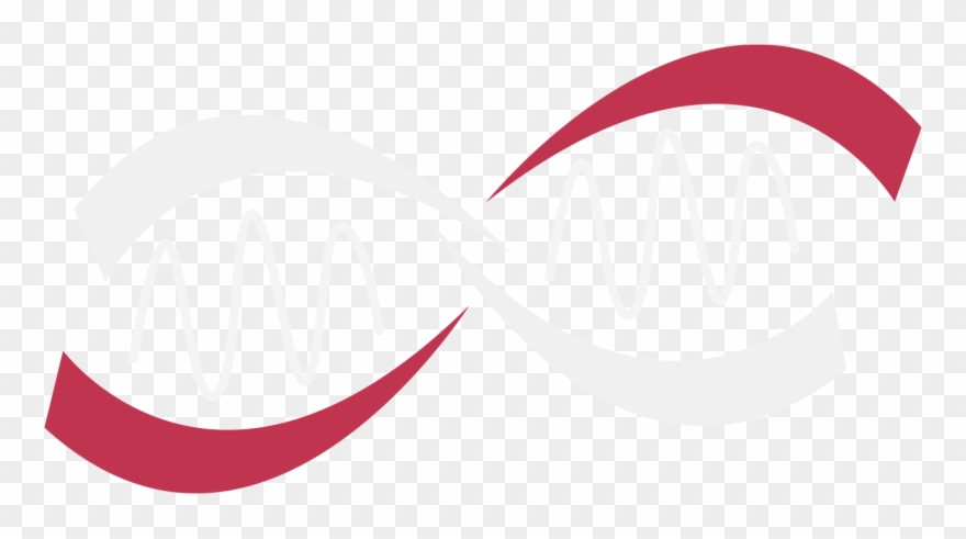 Biological Sciences At Csn - Circle Clipart