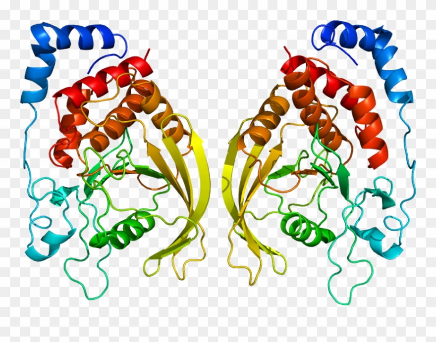 Caveolin Protein Structure Clipart